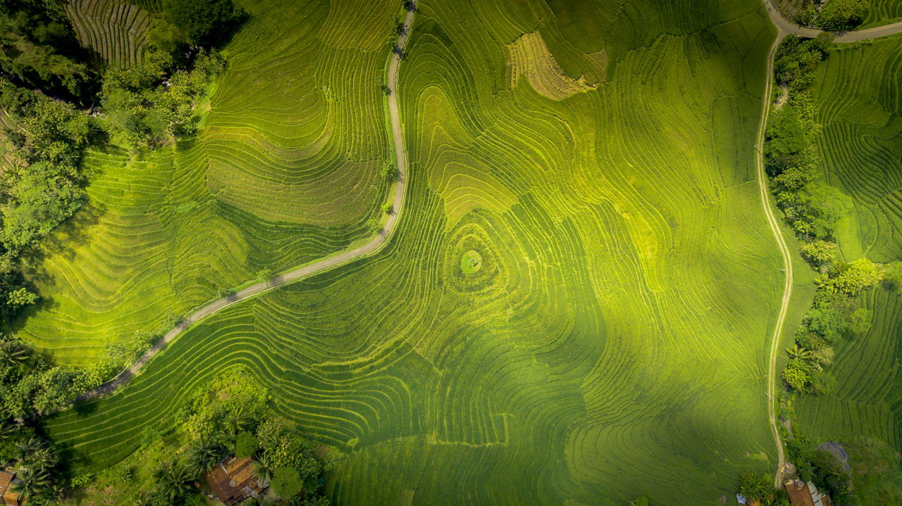 Kebumen, March 3, 2017: Top down view of Java's agrucultural field