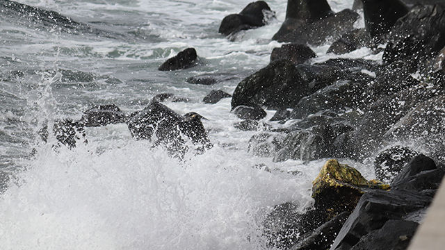 161,849 commercial properties in direct path of hurricane