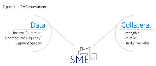 SME assessment