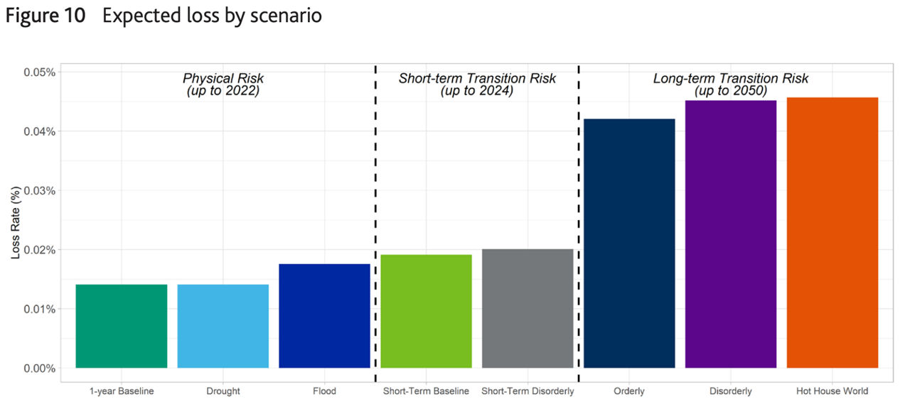 Figure 10: Expected loss by scenario
