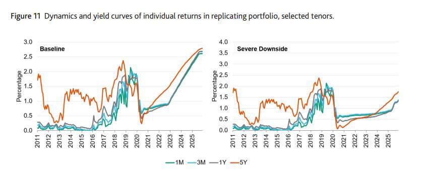 embedding-interest-rate-risk-into-stress-testing figure11