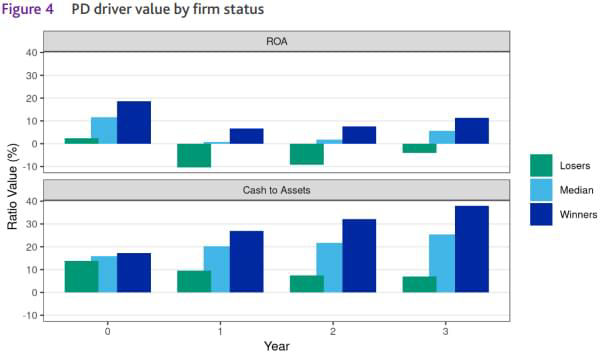 PD driver value by firm status