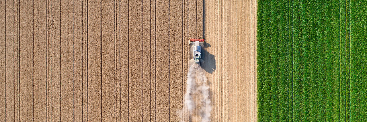 Harvesting a wheat field, dust clouds - aerial view