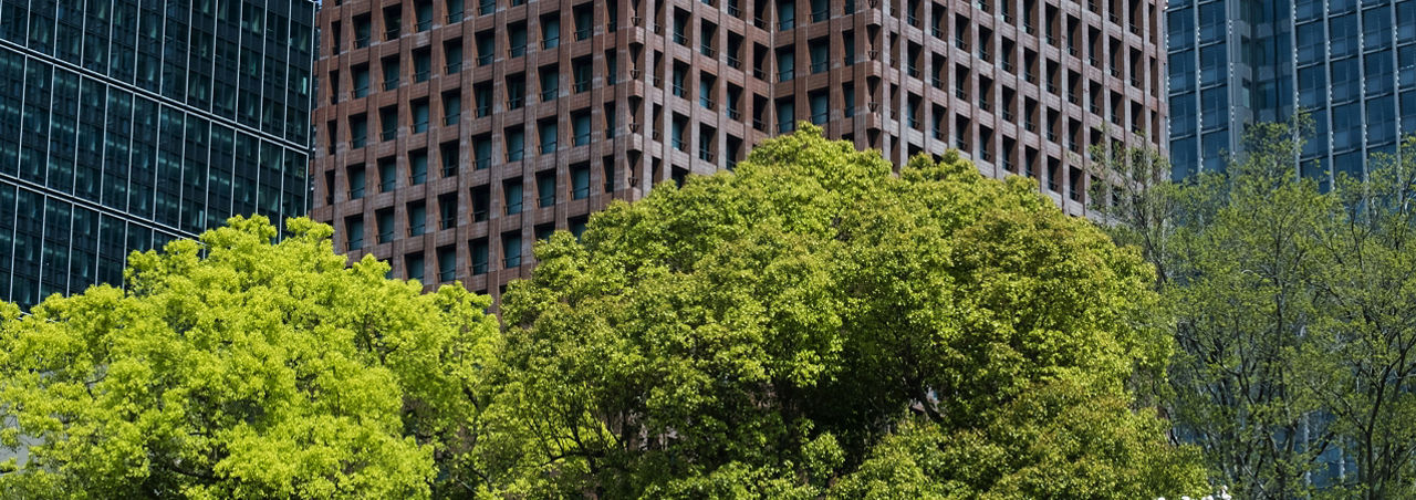 Navigate climate reporting challenges amid changing regulatory landscape