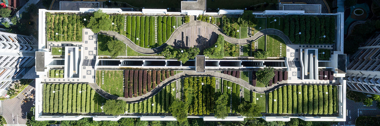 Aerial Shot of Rooftop Garden in Singapore