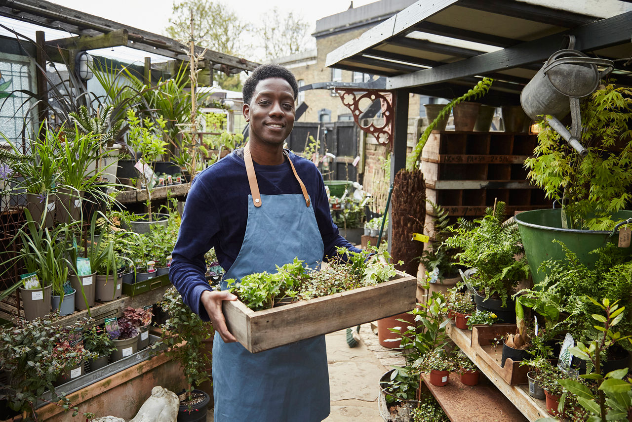 Young black man working in garden centre, he is wearing an apron, holding a wooden tray of potted plants. He is smiling and looking at the camera.