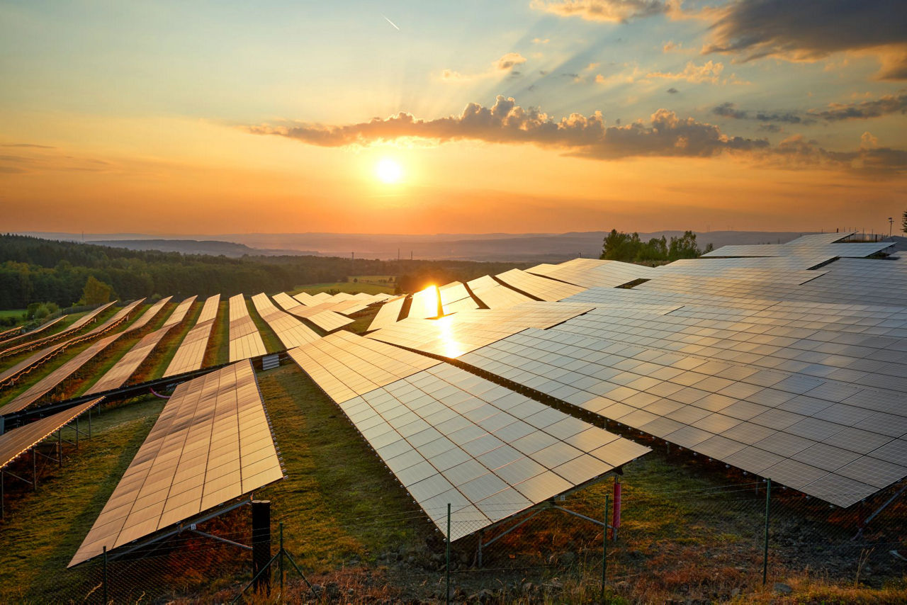 Sustainability