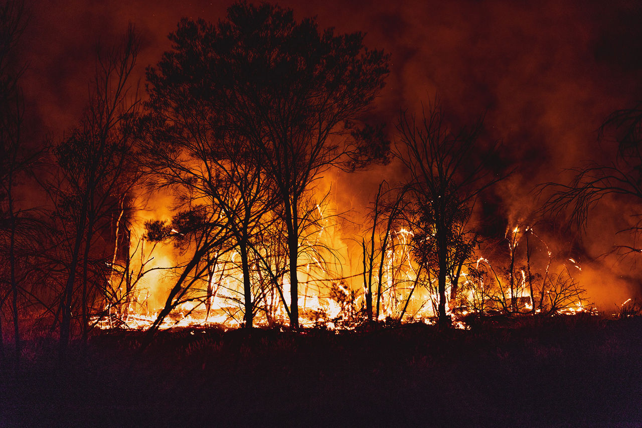 wildfire