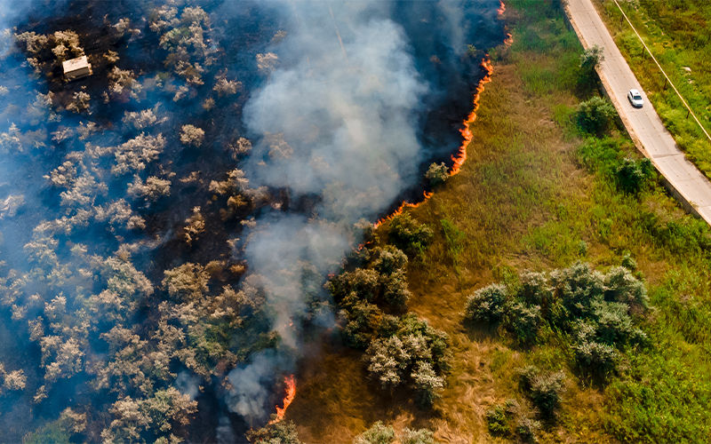 Wildfire near road
