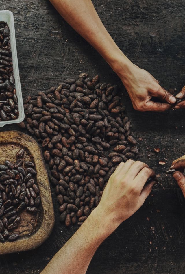 Small, family run farm in highlands of Costa Rica is making beautiful organic chocolate - everything from harvesting cacao, over fermenting, drying, roasting, peeling, grinding to the chocolate and butter production.