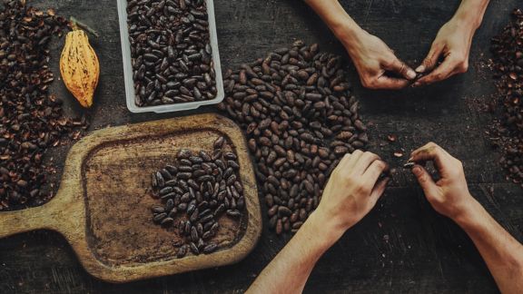 Small, family run farm in highlands of Costa Rica is making beautiful organic chocolate - everything from harvesting cacao, over fermenting, drying, roasting, peeling, grinding to the chocolate and butter production.