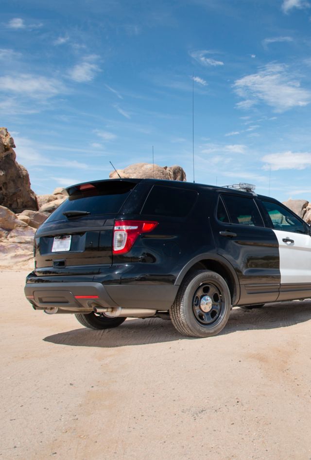 A police car stopped on a dirt road in mountainous desert country. In the background some painted rocks can be seen.