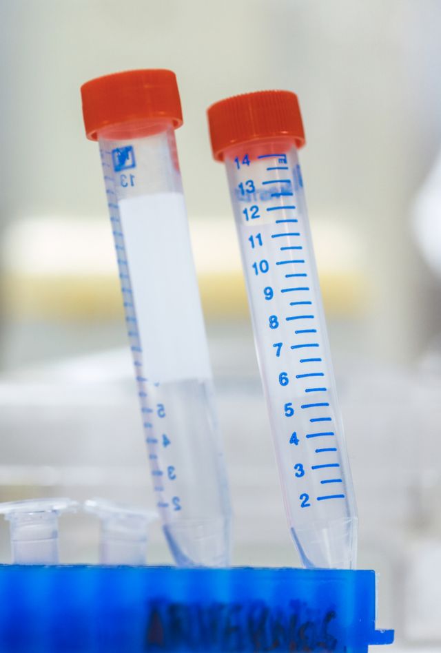 Close-up of two medical empty test-tubes in lab.