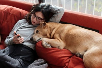 Woman in homey clothes and slippers sitting on the couch at home, boringly staring at her smartphone, her dog beside her, staring too.