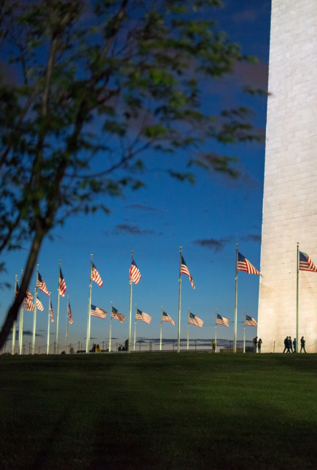 American flags ripple in breeze at blue hour around glowing base of Washington Monument