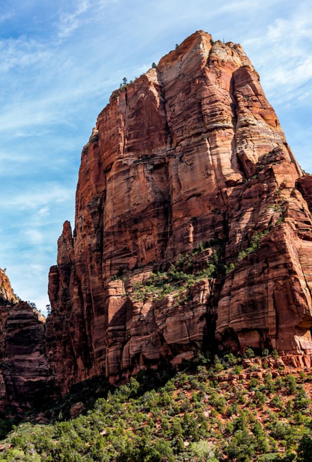 Low angle view of red orange Zion National Park Angel's Landing cliffs desert landscape during summer day with tall high rock formations