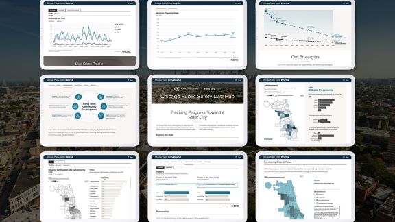 Screenshots of chicago public safety tool