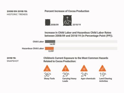 An infographic titled 2008/09-2018/19: Historic Trends. Cocoa production increased 62 percent during that time, child labor increased 14 percent, and hazardous child labor increased 13 percent. In 2018-19, children’s exposure to the most common hazards related to cocoa production were sharp tools at 36 percent, carrying heavy loads at 29 percent, agro-chemicals at 24 percent, and land-clearing activities at 19 percent.  