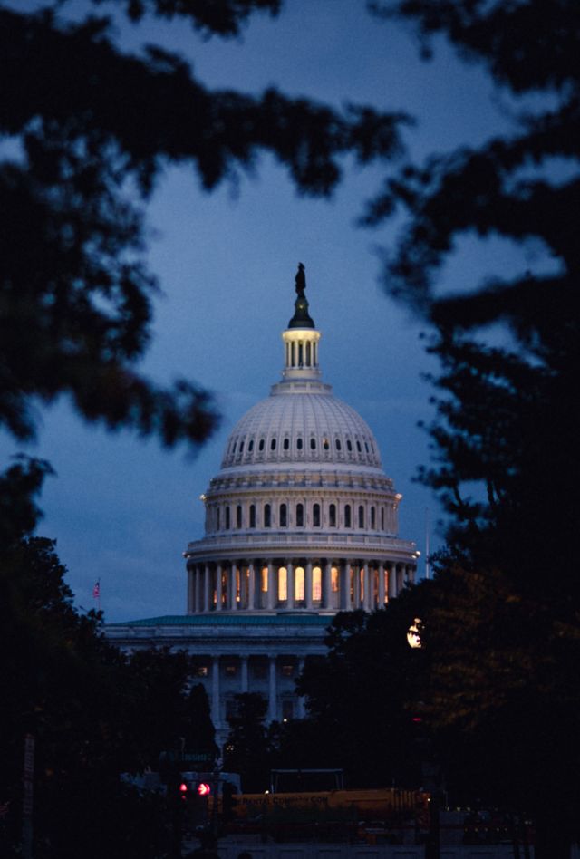 U.S. Capital building at night through trees