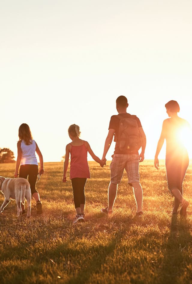 Vacations in countryside. Silhouettes of family with dog walking on meadow at sunset.