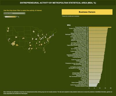 Data Visualization - Entrepreneurship in the Population - Entrepreneurial Activities by State