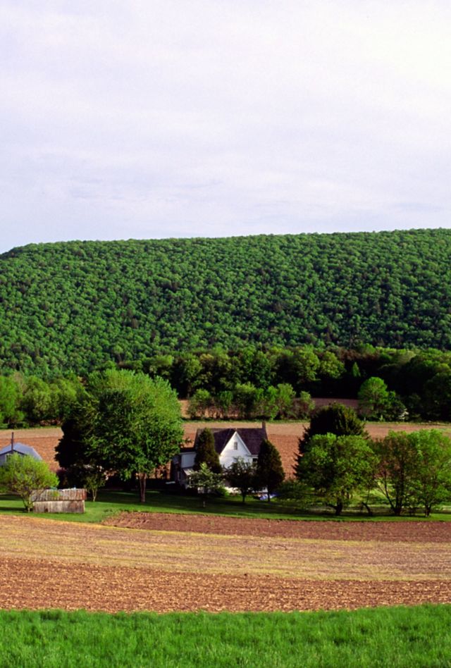 AYDTHX Farmland in western Pennsylvania