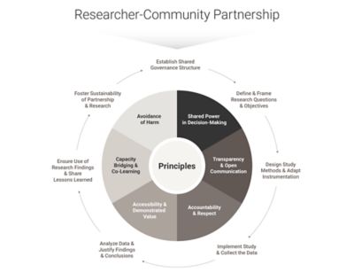 Diagram titled "Researcher-Community Partnership" illustrating various principles and stages. Central circle labeled "Principles" includes "Avoidance of Harm," "Shared Power in Decision-Making," "Transparency & Open Communication," and "Accessibility & Demonstrated Value." Surrounding circles detail stages such as "Establish Shared Governance Structure," "Define Research Questions & Objectives," and several others related to capacity building, data analysis, and learning.