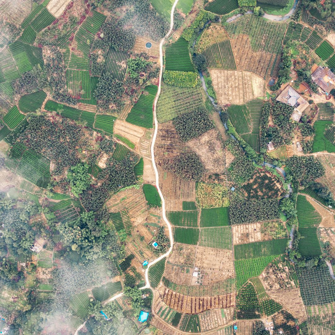 Satellite image of plots of land