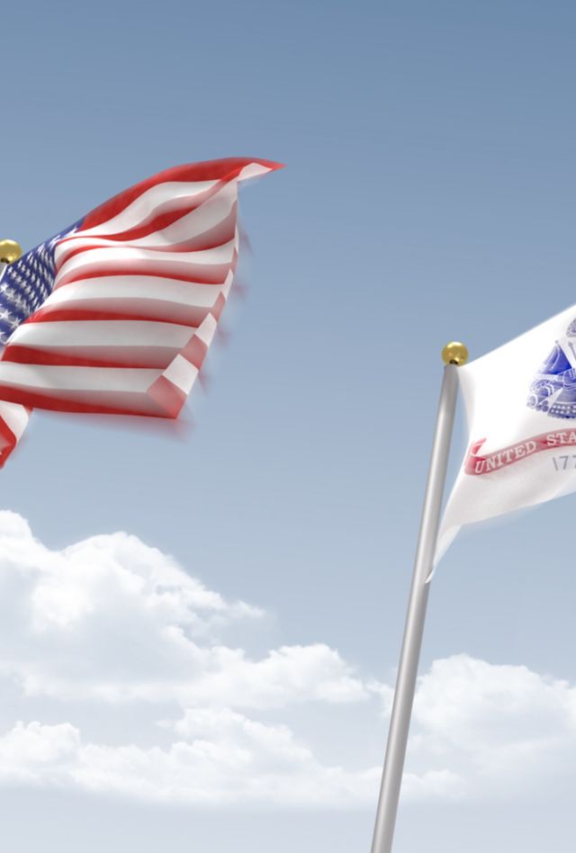 US Armed Forces Flags in a row on flagpoles