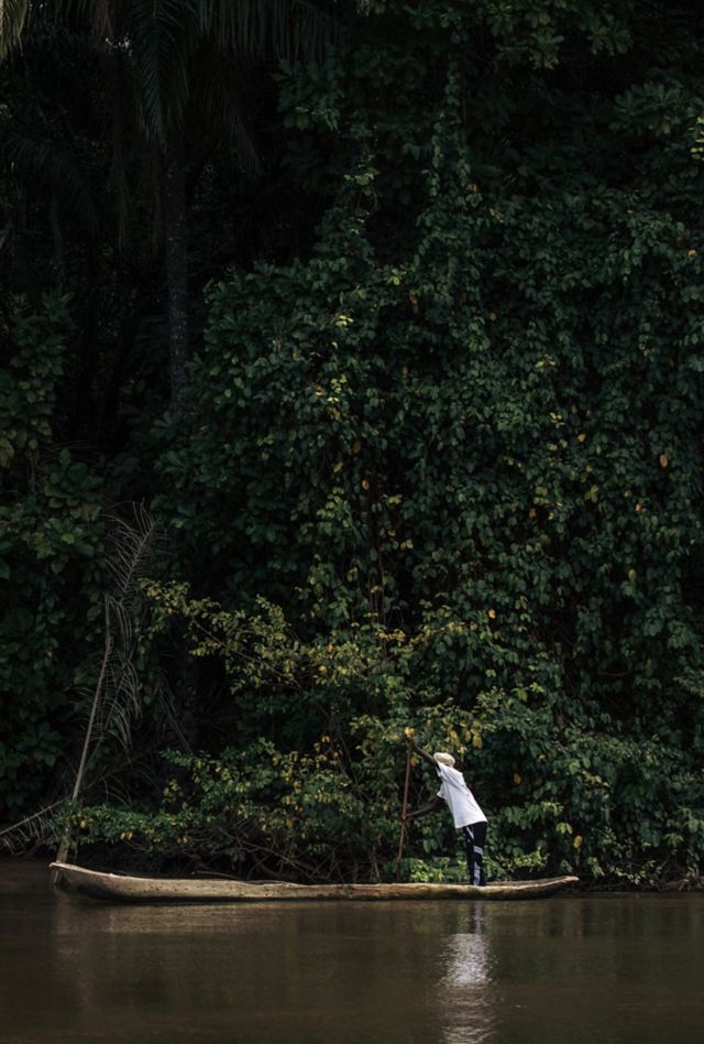 A fisherman standing on a boat paddles through the water by a dense forest