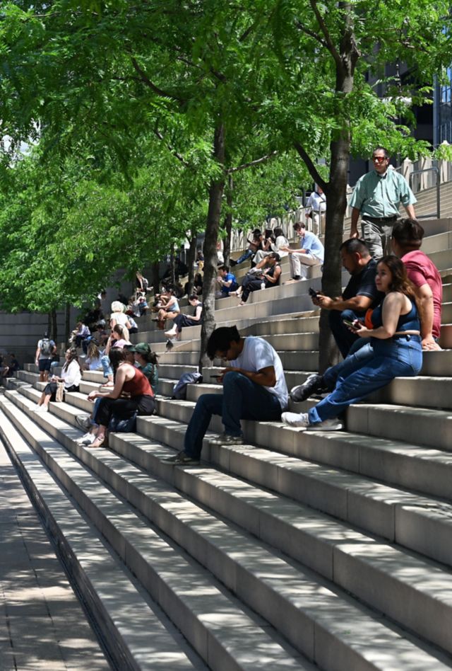 Chicago skyline in background, people sitting under the shade of trees on the steps by the river.