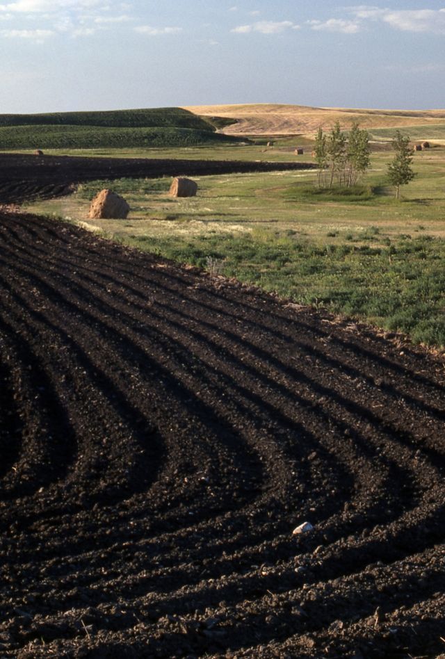 Prairie agricultural landscape of plowed fields and hay bales