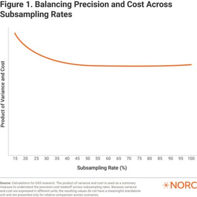 Graph titled "Balancing Precision and Cost Across Subsampling Rates" with an orange line that curves downward from left to right. The x-axis is labeled "Subsampling Rate (%)" ranging from 15 to 100, and the y-axis is labeled "Product of Variance and Cost."