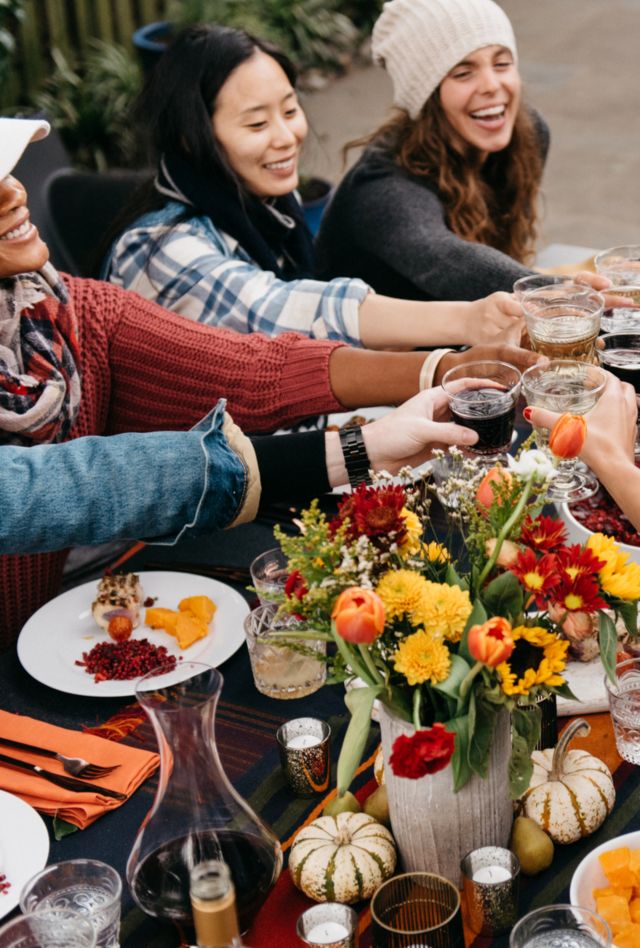 Stock photo of a group of mixed ethnicity friends toasting while enjoying dinner during an outdoor backyard dinner party.