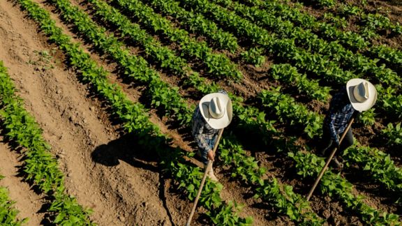 Listening to Voices That Don’t Usually Get Heard: Evaluating Labor Rights in Mexico