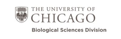 The University of Chicago Biological Sciences Division Logo