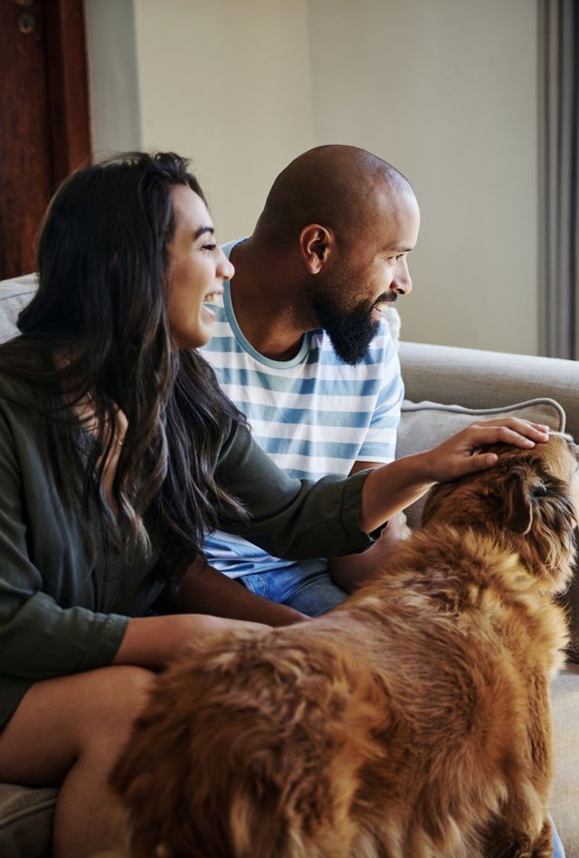 Cropped shot of an affectionate young couple spending time with their little son and dog at home