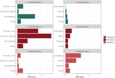 The graphic shows each group’s average scores on the measured survey items.