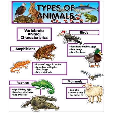 Creative Teaching Press Mini Bulletin Board Set Types Of Animals Grades ...