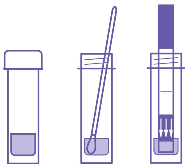 Three illustrations of the solution in the buffer tube.  Capped Vial: A short, narrow tube with a wider cap at the top end and a small amount of fluid inside.  Vial with Swab: Swab tip resting at the bottom of the tube. Vial with Test Strip: Test strip placed in the tube so the bottom end with arrows is in the liquid at the bottom of the tube.