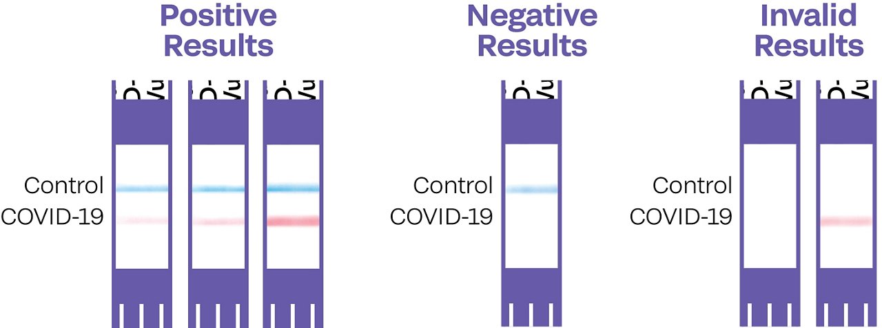 Three sets of test results. Positive Results: Three test strips showing results, each showing a blue, control line above a pink, COVID-19 line. Some lines are bold and some are faint.  Negative Results: One test strip showing only the blue, control line and no pink, COVID-19 line.  Invalid Results: Two test strips showing results. One has no lines, and the other has only a pink, COVID-19 line and no blue, control line.
