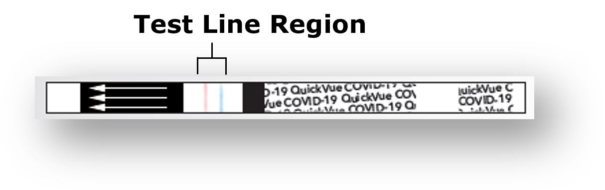 Test strip showing 2 thin, faint lines across the width of the white area on the lower half of the strip, labeled results area. One line is blue and one line is pink