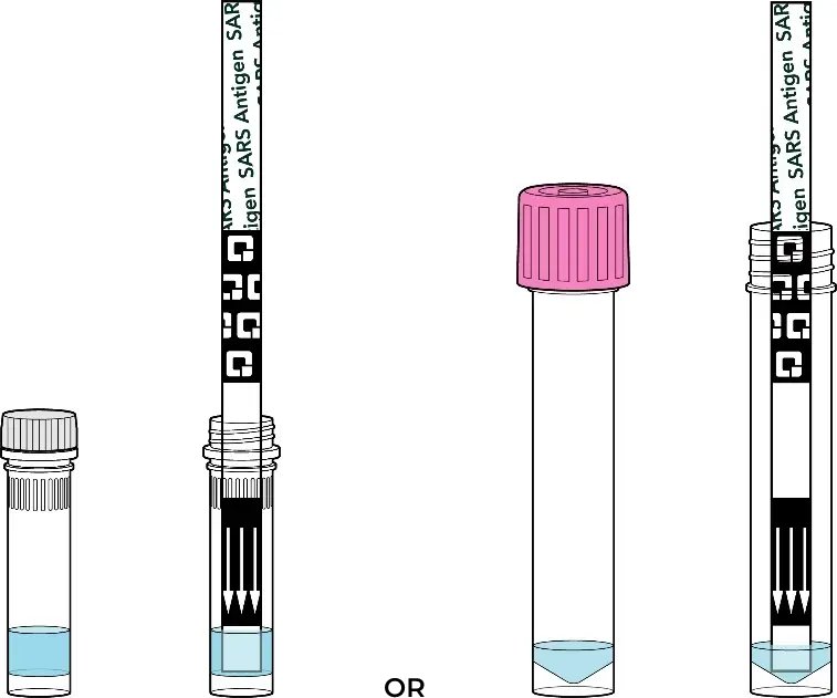 Illustration of how to add test strip to liquid vial