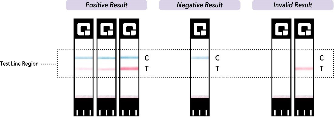 Illustration on how to read test results