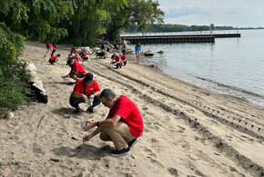 employees cleaning up a beachfront