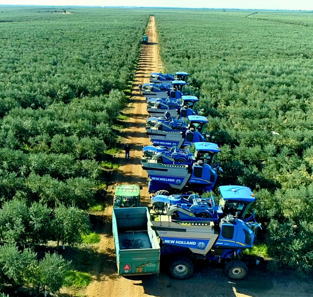 photo of harvesters