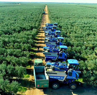 photo of harvesters
