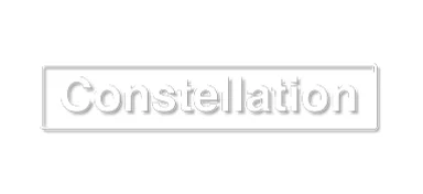 Constellation Insurance Holdings logo