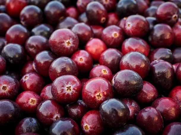 Cran Chile cranberries