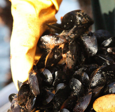 Close up shot of Seafood Mussels
